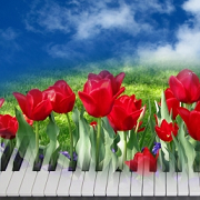 Collage, Klavier mit Bl�tenzauber